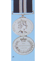 DSM - Distinguished Service Medal. no.25