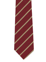 Duke of Wellingtons Regiment Polyester Gold Striped Tie