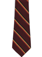 East Anglian Regiment Striped tie