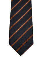 RAOC older style striped tie