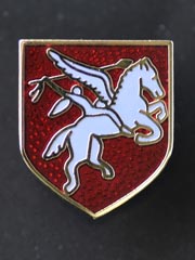 Airborne Pin Badge