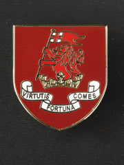 Duke of Wellington Regiment, Pin Badge