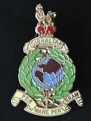 Royal Marines Pin Badge