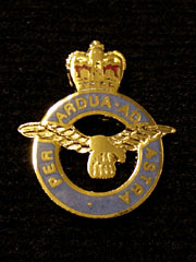 Royal Air Force Pin Badge