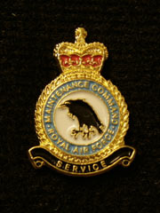 Royal Air Force Maintenance Command Pin Badge