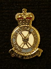 Royal Air Force Regiment Pin Badge