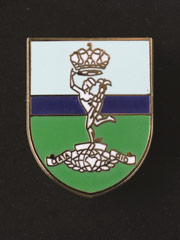 Royal Signals, Pin Badge