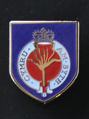 Welsh Guards, Pin Badge
