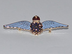 RAF Lapel badge - enameled blue finish