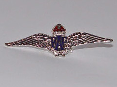 RAF Lapel badge - silver finish
